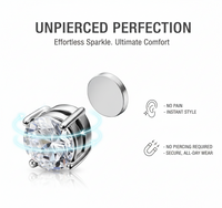 2 pairs Magnetic Earrings